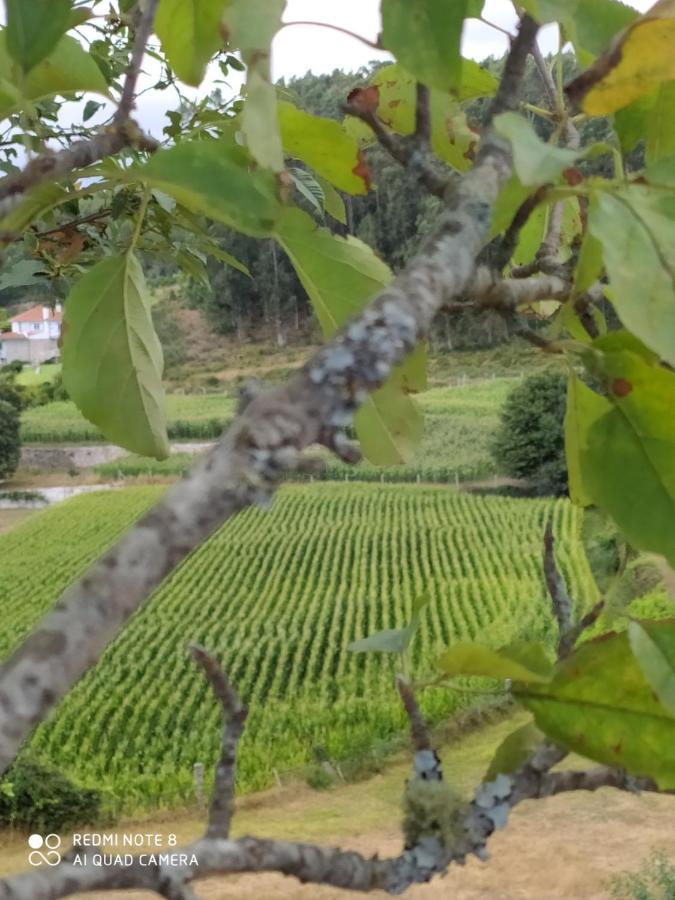 Casa das Japoneiras Paredes de Coura Bagian luar foto