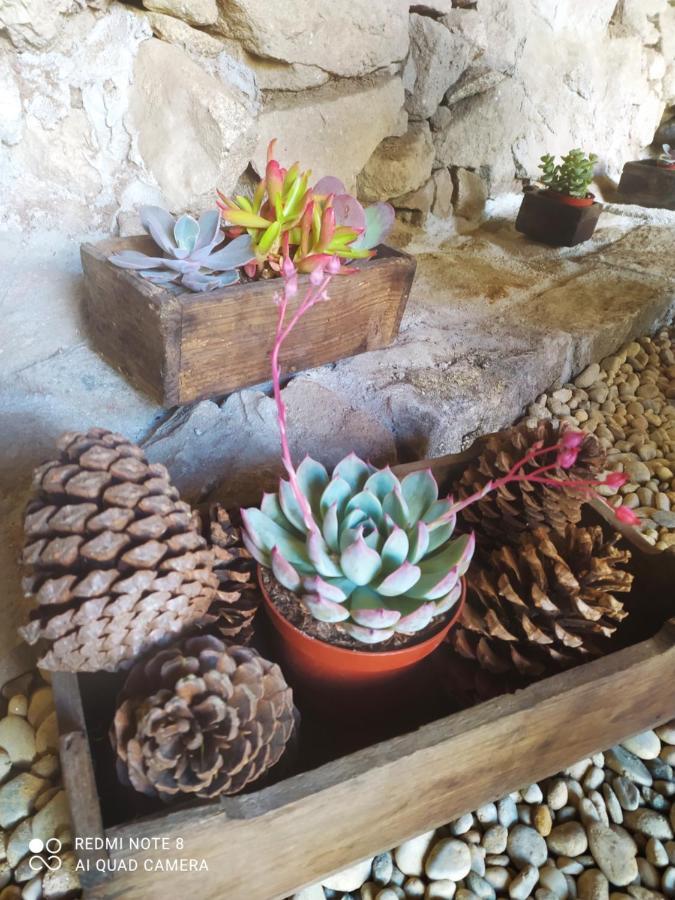 Casa das Japoneiras Paredes de Coura Bagian luar foto